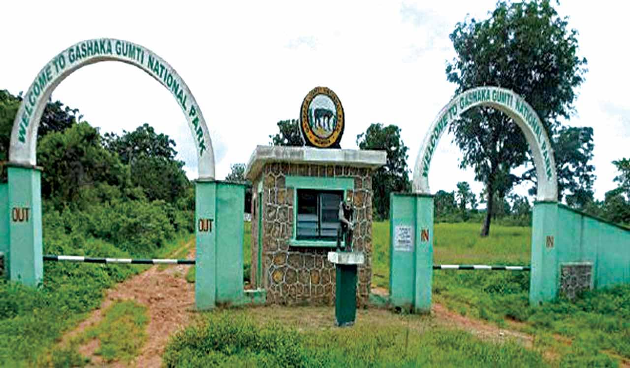 Gashaka Gumti National Park
