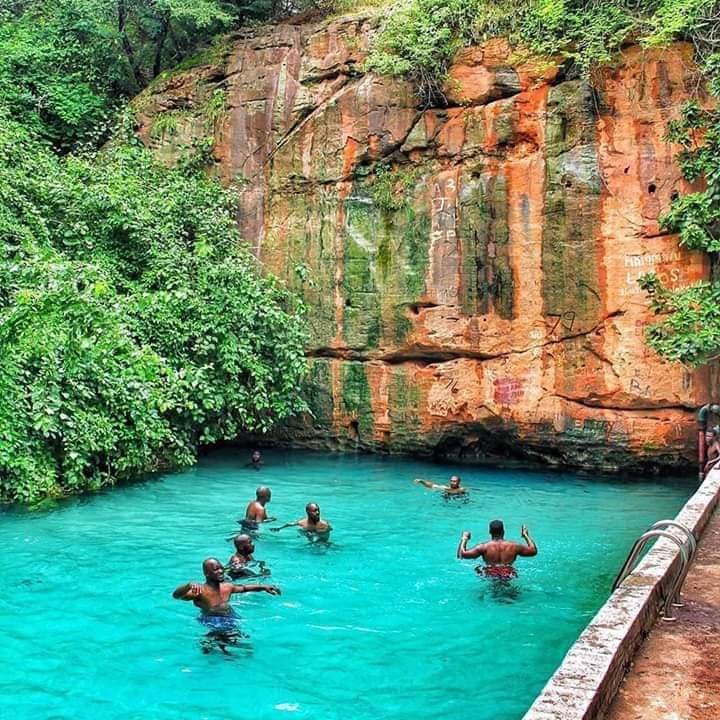 Yankari National Park